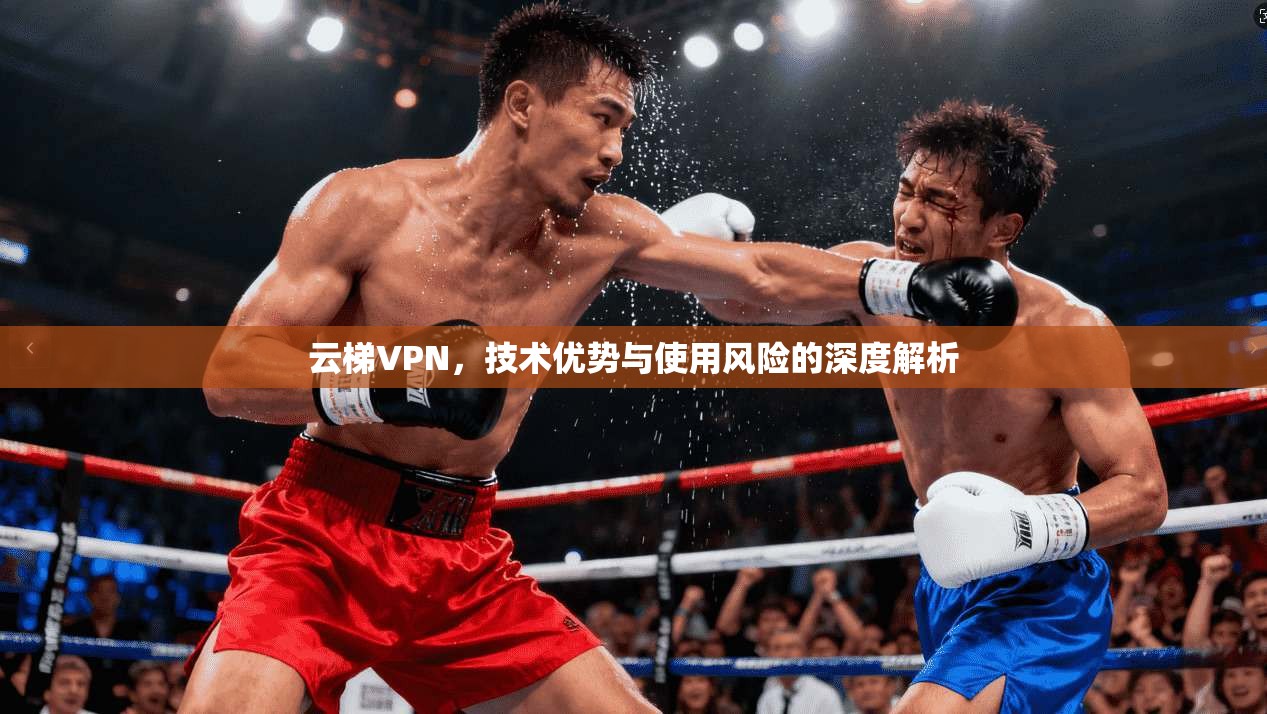 云梯VPN，技术优势与使用风险的深度解析