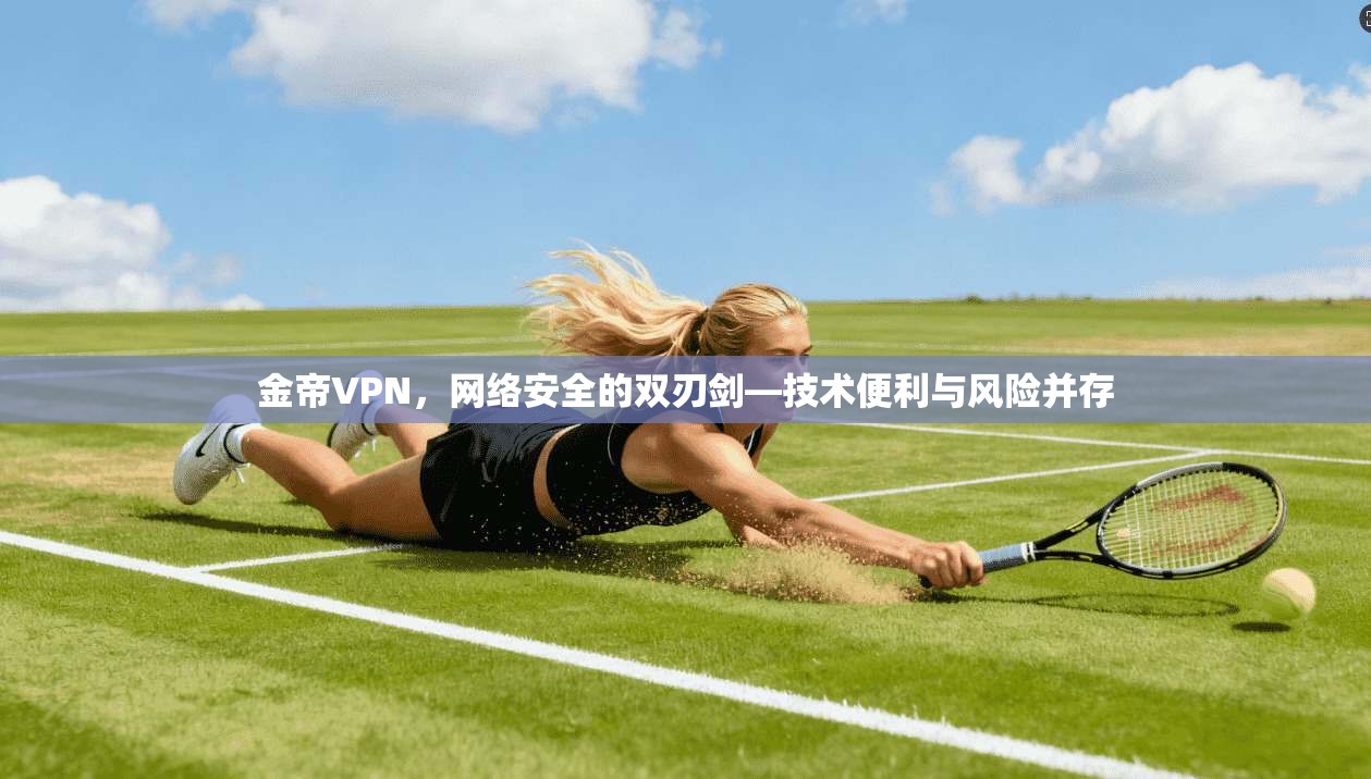 金帝VPN，网络安全的双刃剑—技术便利与风险并存