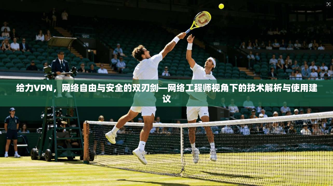 给力VPN，网络自由与安全的双刃剑—网络工程师视角下的技术解析与使用建议