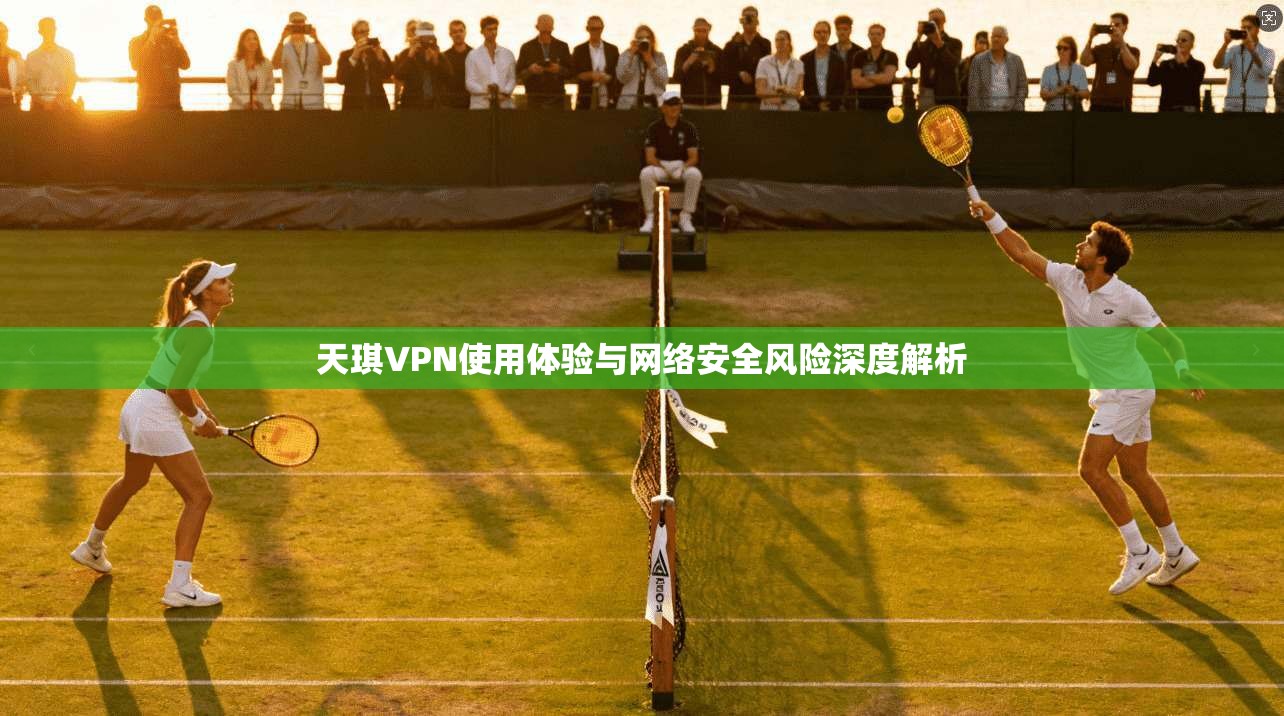 天琪VPN使用体验与网络安全风险深度解析