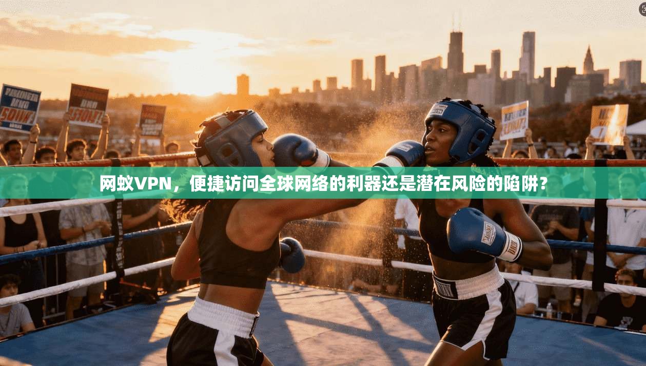 网蚁VPN，便捷访问全球网络的利器还是潜在风险的陷阱？