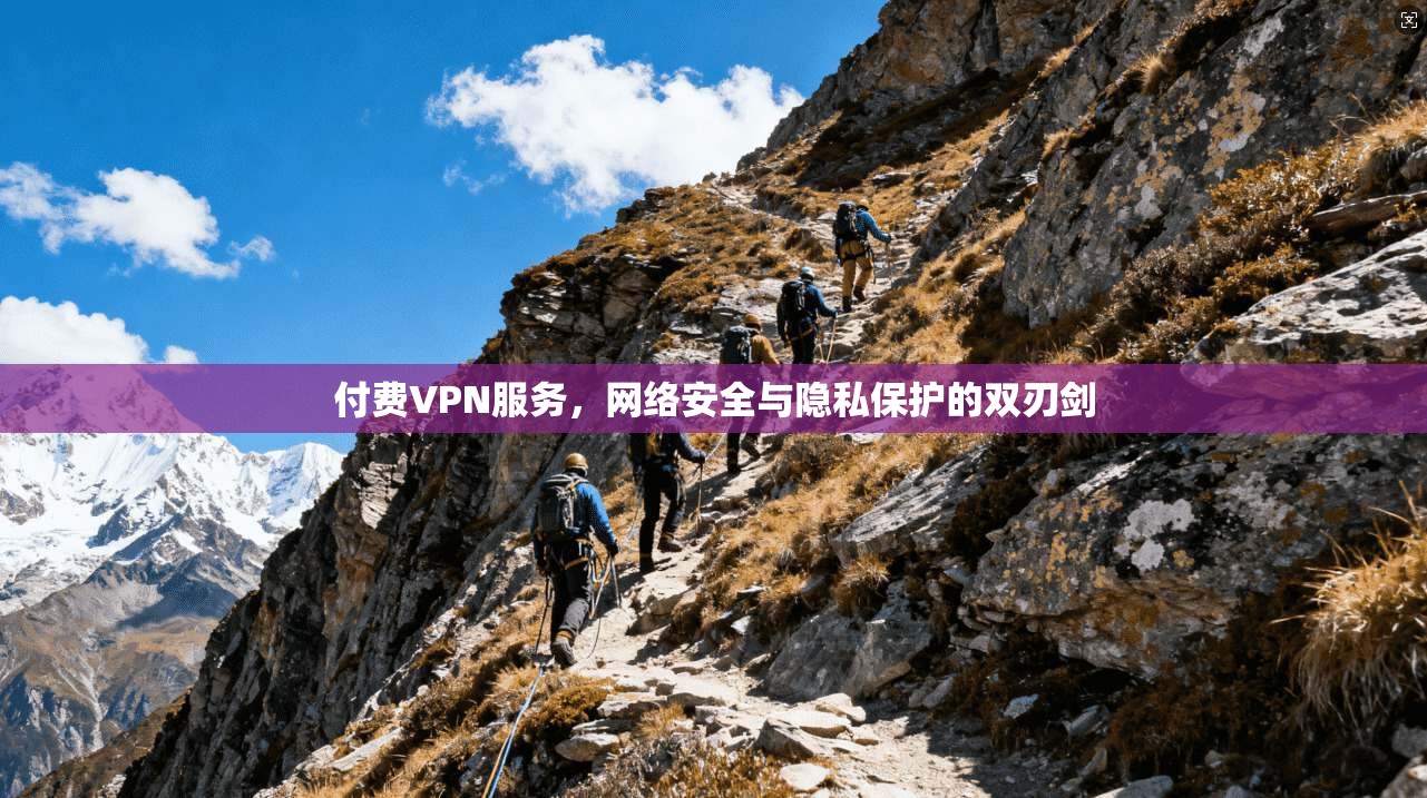 付费VPN服务，网络安全与隐私保护的双刃剑