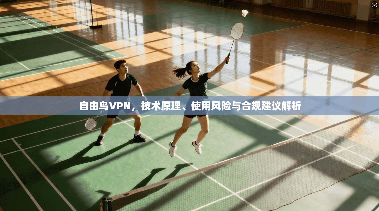 自由鸟VPN，技术原理、使用风险与合规建议解析