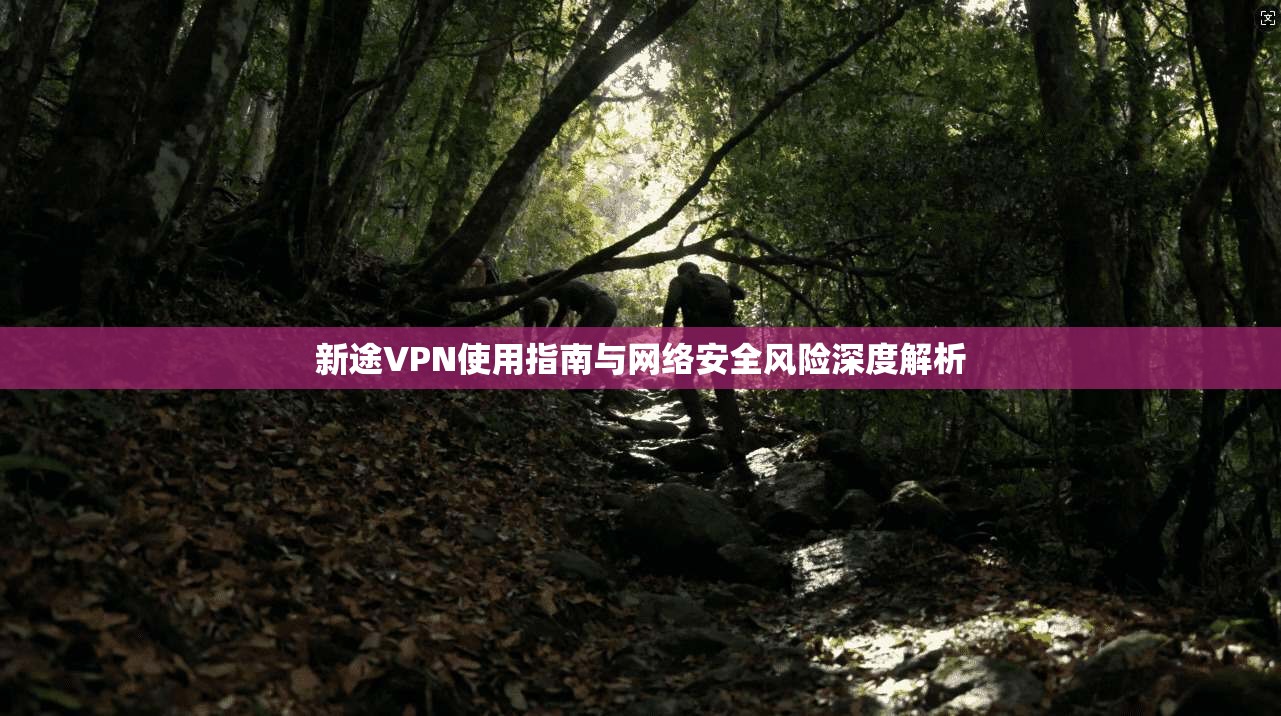新途VPN使用指南与网络安全风险深度解析