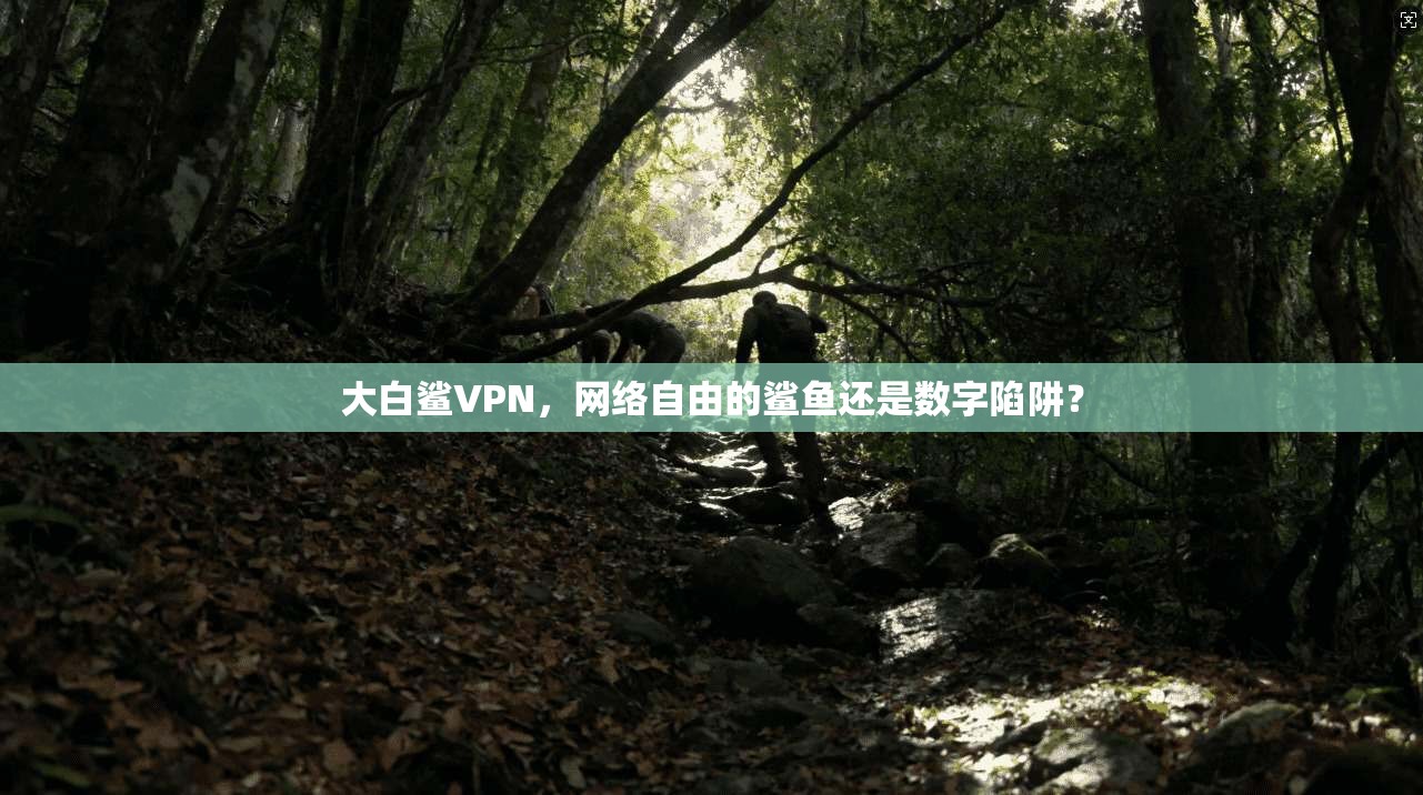 大白鲨VPN，网络自由的鲨鱼还是数字陷阱？
