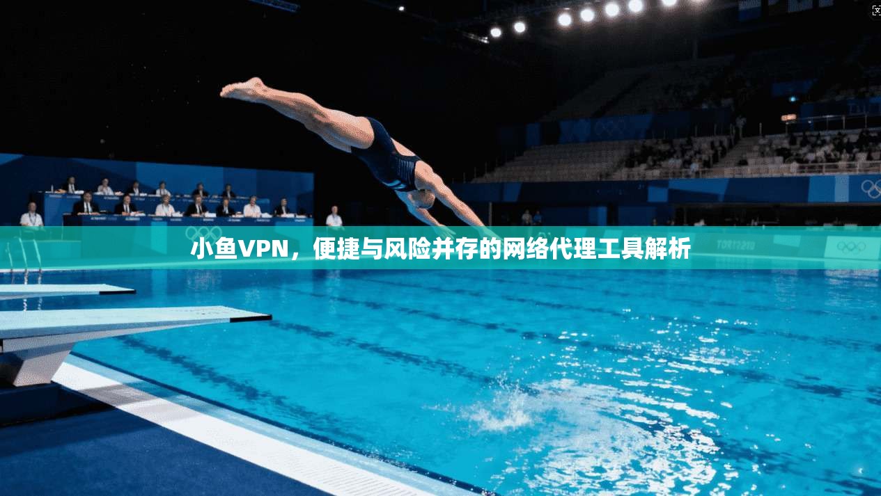 小鱼VPN，便捷与风险并存的网络代理工具解析