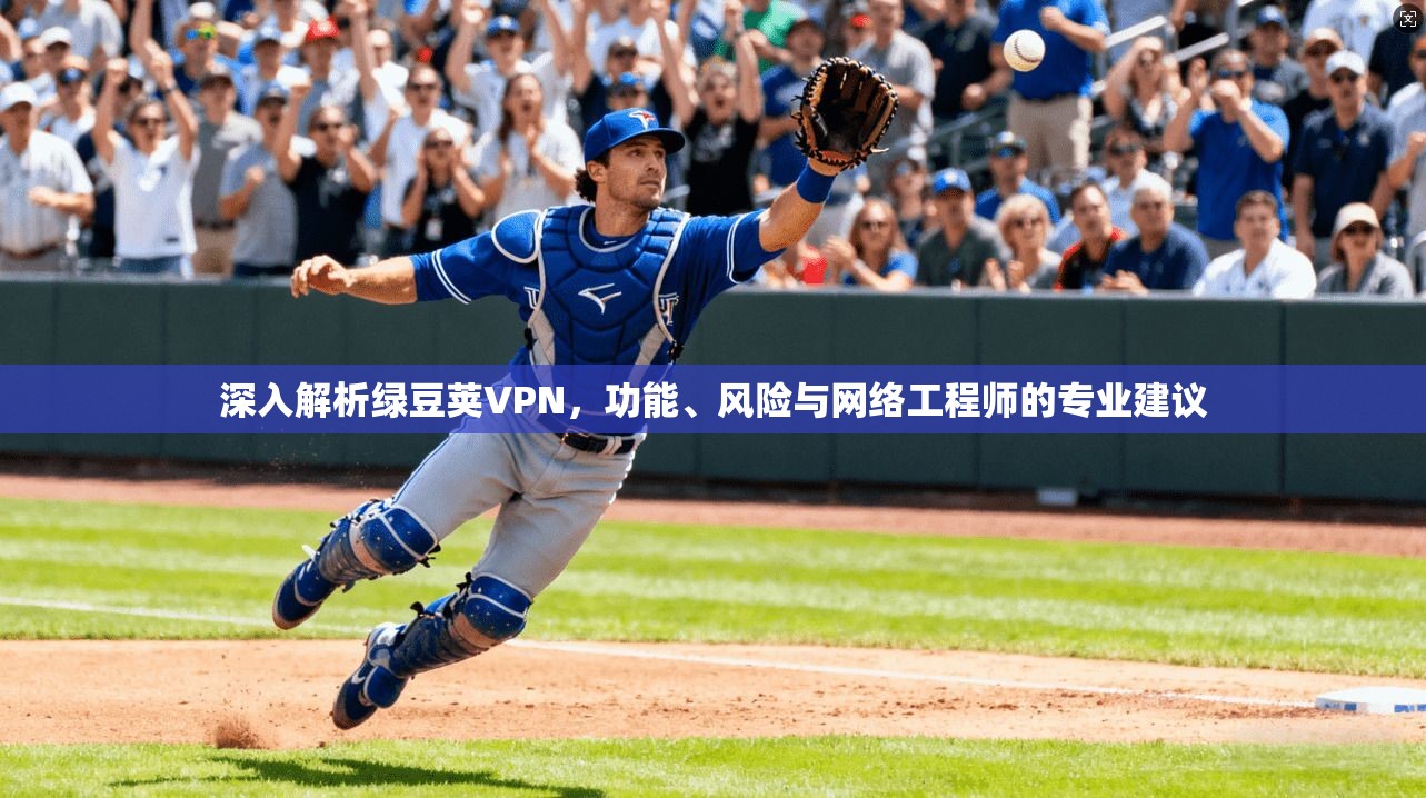 深入解析绿豆荚VPN，功能、风险与网络工程师的专业建议