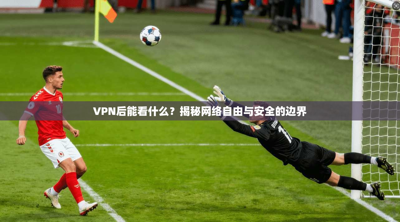VPN后能看什么？揭秘网络自由与安全的边界