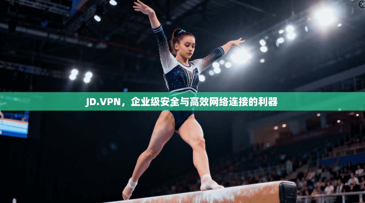 JD.VPN，企业级安全与高效网络连接的利器