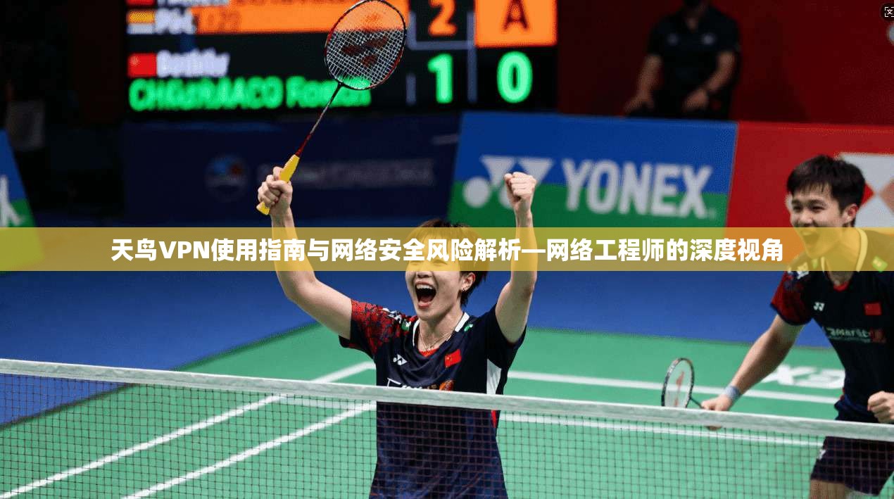 天鸟VPN使用指南与网络安全风险解析—网络工程师的深度视角
