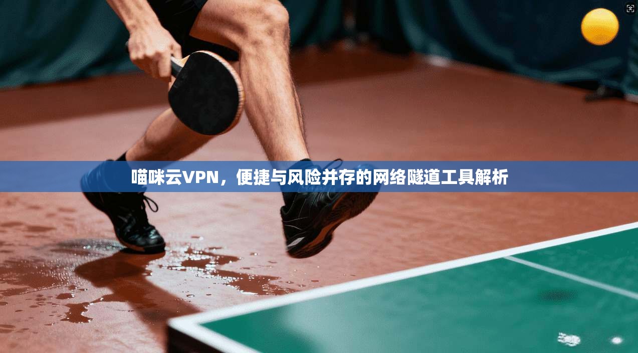 喵咪云VPN，便捷与风险并存的网络隧道工具解析