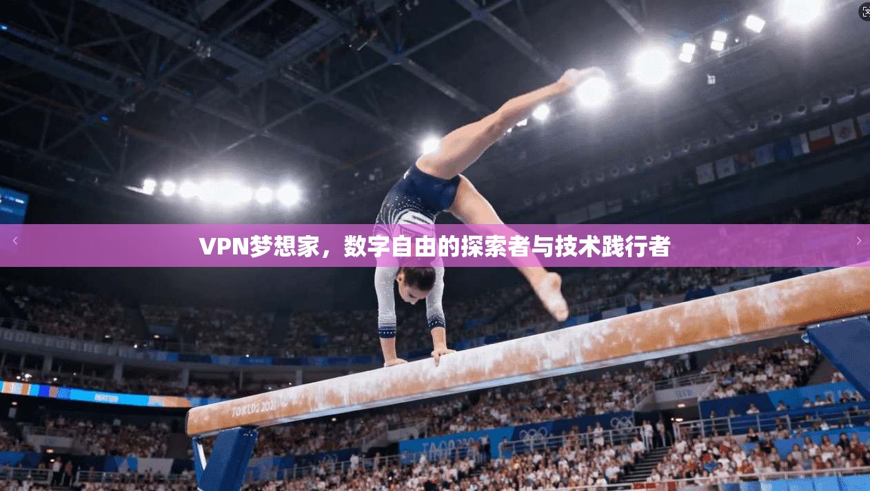 VPN梦想家，数字自由的探索者与技术践行者