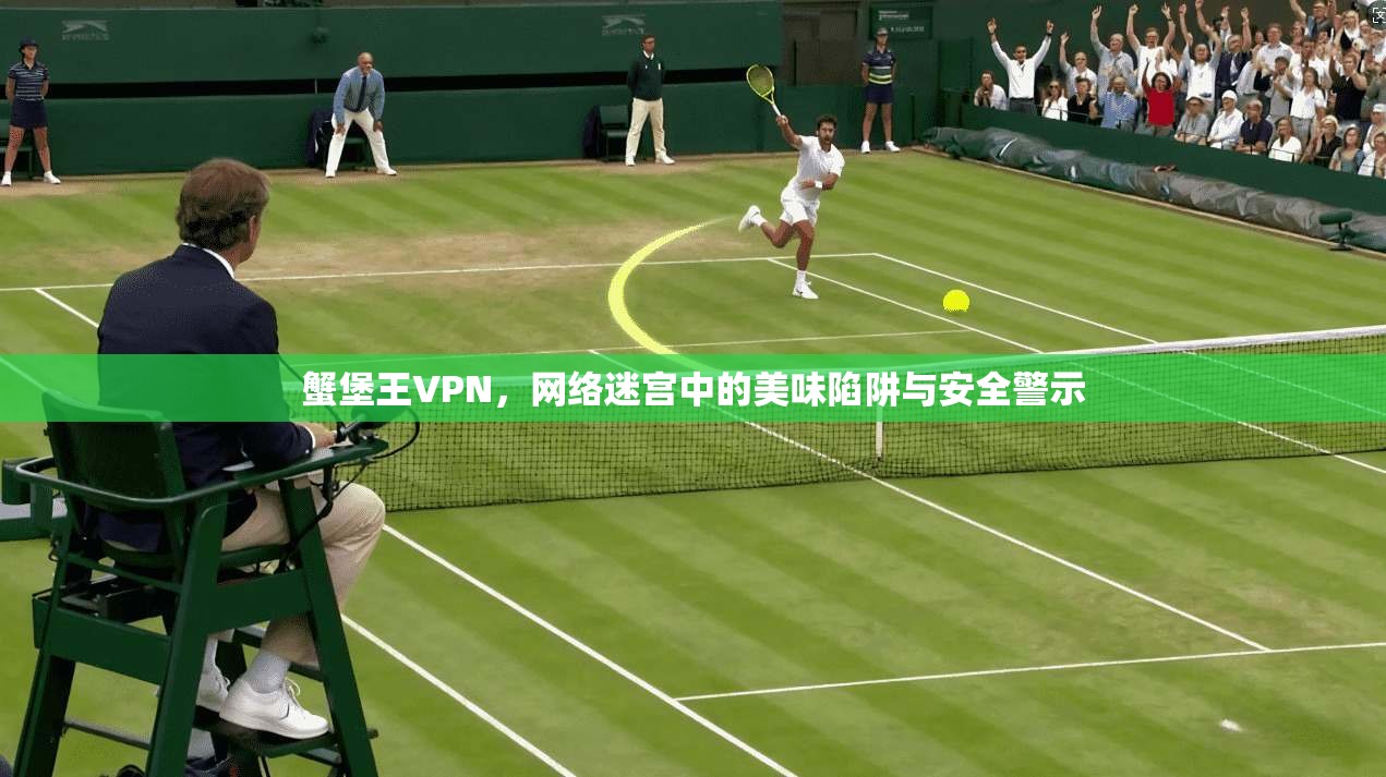 蟹堡王VPN，网络迷宫中的美味陷阱与安全警示