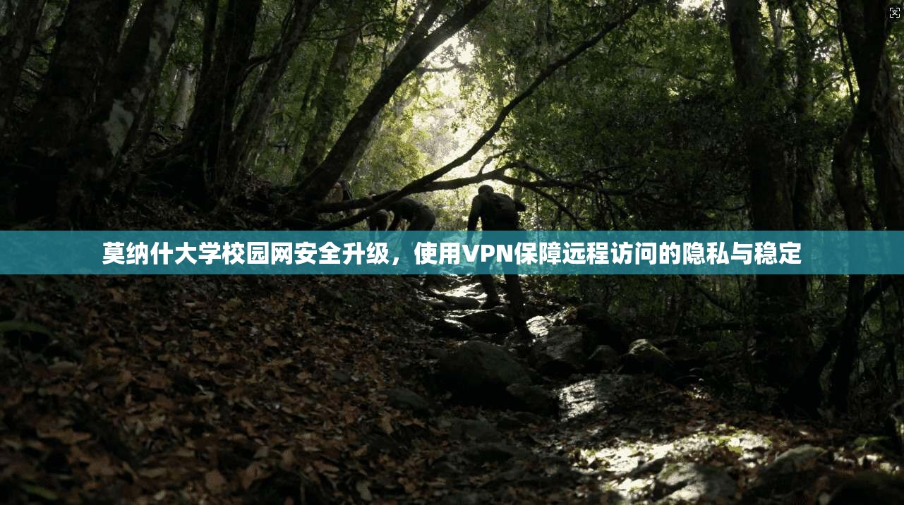 莫纳什大学校园网安全升级，使用VPN保障远程访问的隐私与稳定