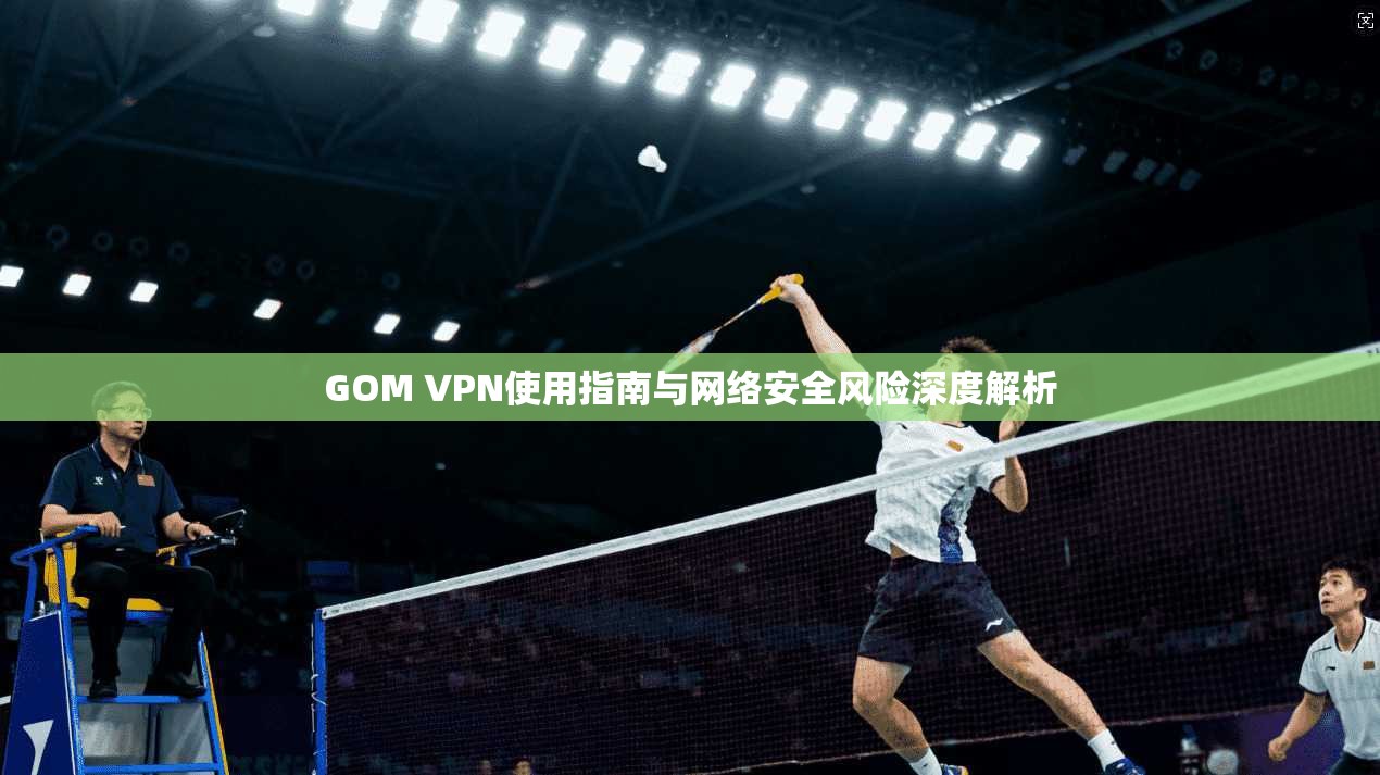 GOM VPN使用指南与网络安全风险深度解析