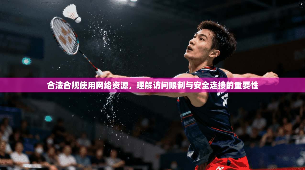 合法合规使用网络资源,理解访问限制与安全连接的重要性