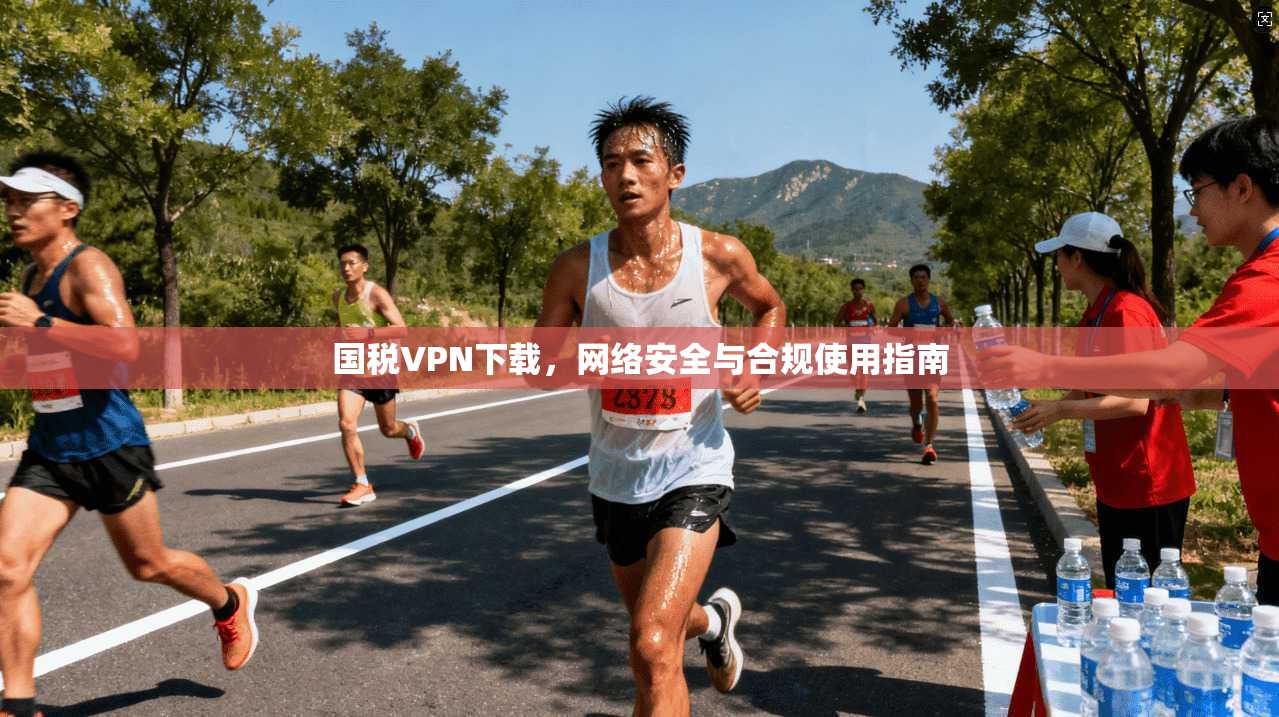 国税VPN下载，网络安全与合规使用指南