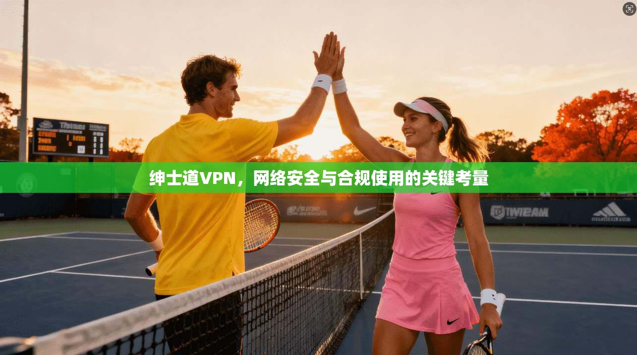 绅士道VPN，网络安全与合规使用的关键考量