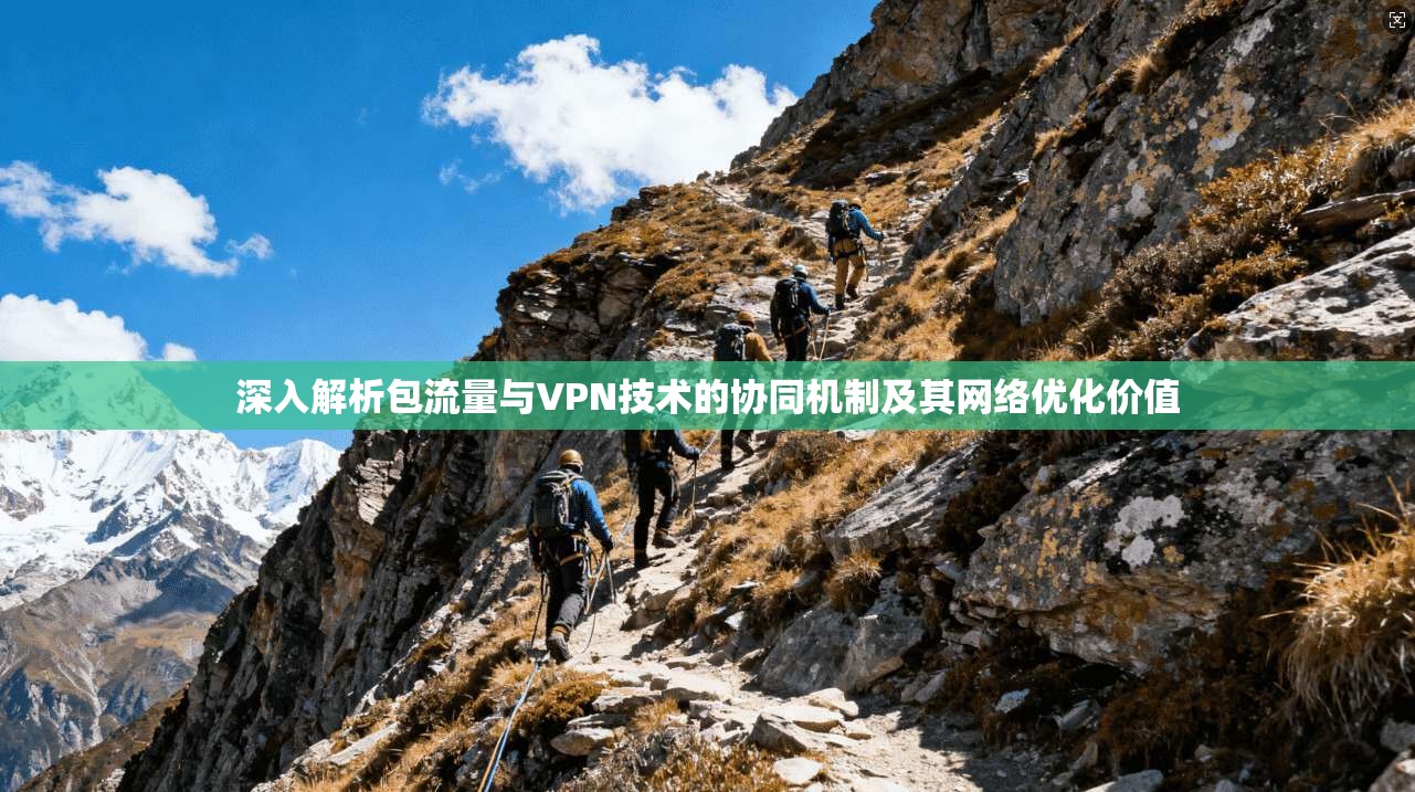 深入解析包流量与VPN技术的协同机制及其网络优化价值
