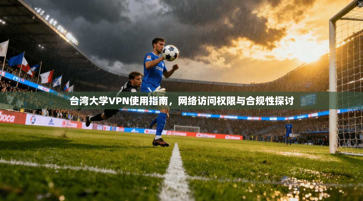 台湾大学VPN使用指南，网络访问权限与合规性探讨