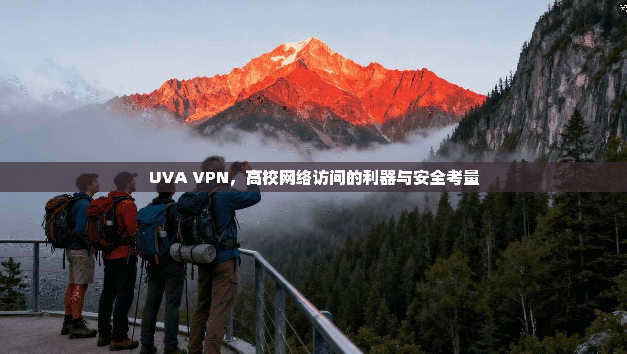 UVA VPN，高校网络访问的利器与安全考量