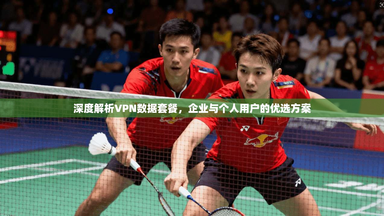 深度解析VPN数据套餐，企业与个人用户的优选方案