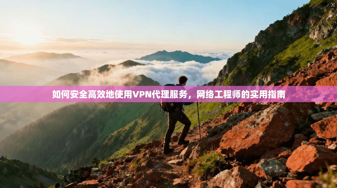如何安全高效地使用VPN代理服务，网络工程师的实用指南