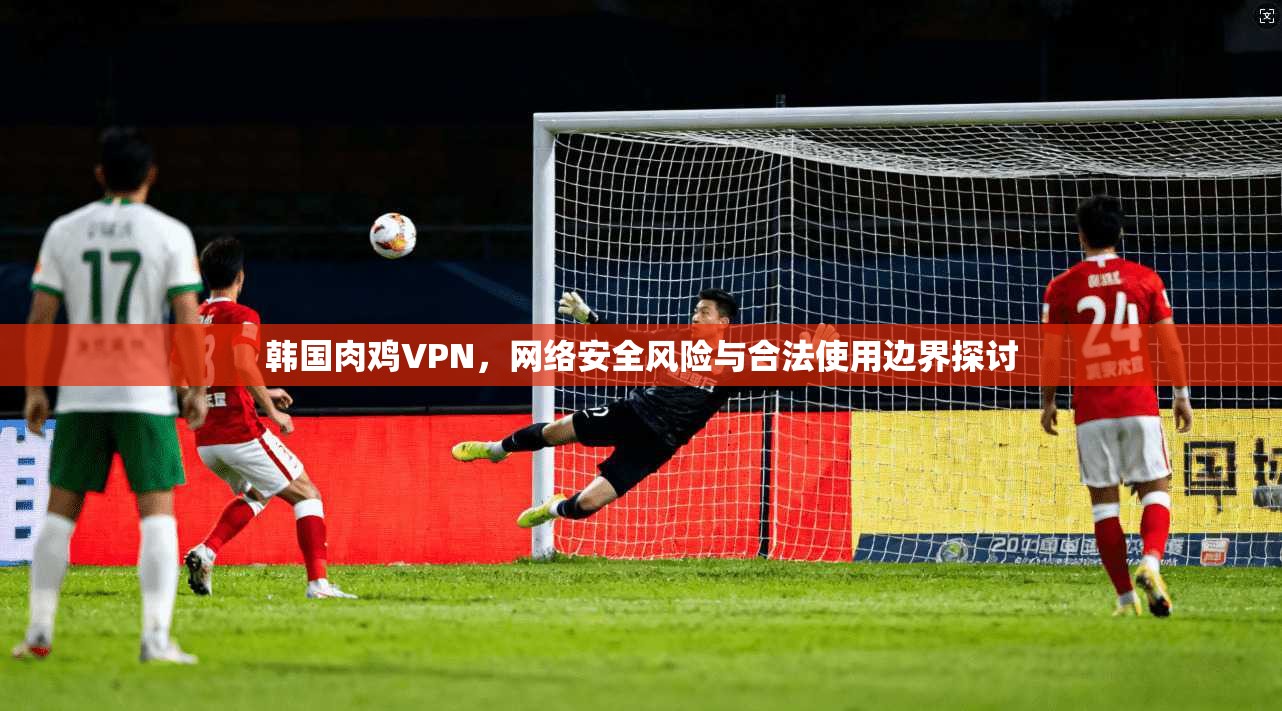 韩国肉鸡VPN，网络安全风险与合法使用边界探讨