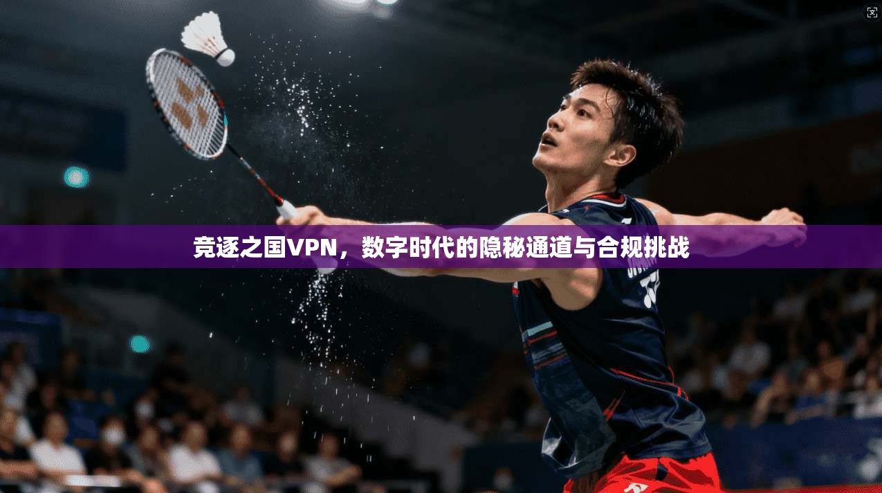 竞逐之国VPN，数字时代的隐秘通道与合规挑战