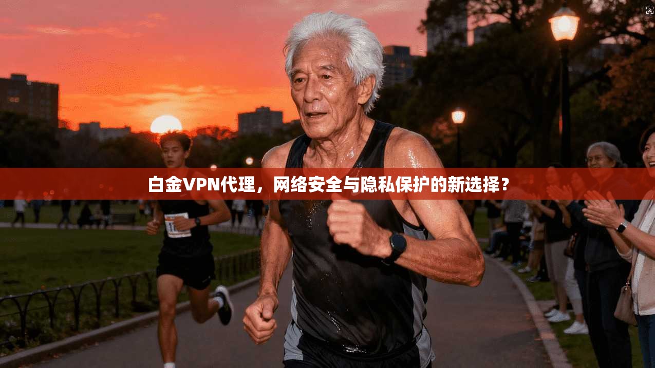 白金VPN代理，网络安全与隐私保护的新选择？