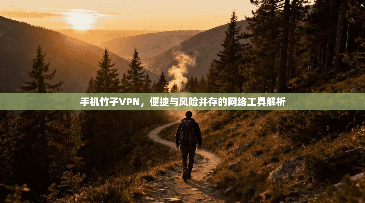 手机竹子VPN,便捷与风险并存的网络工具解析