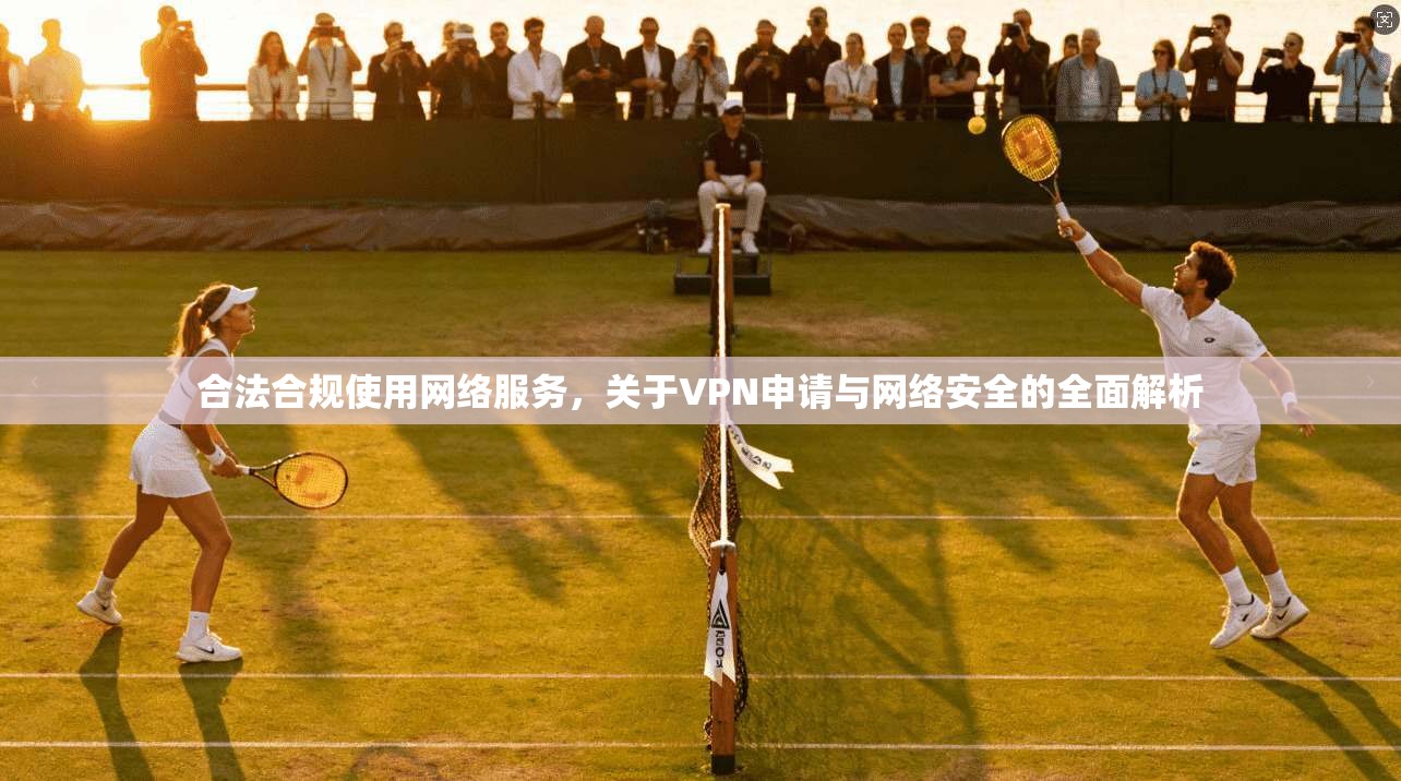 合法合规使用网络服务，关于VPN申请与网络安全的全面解析
