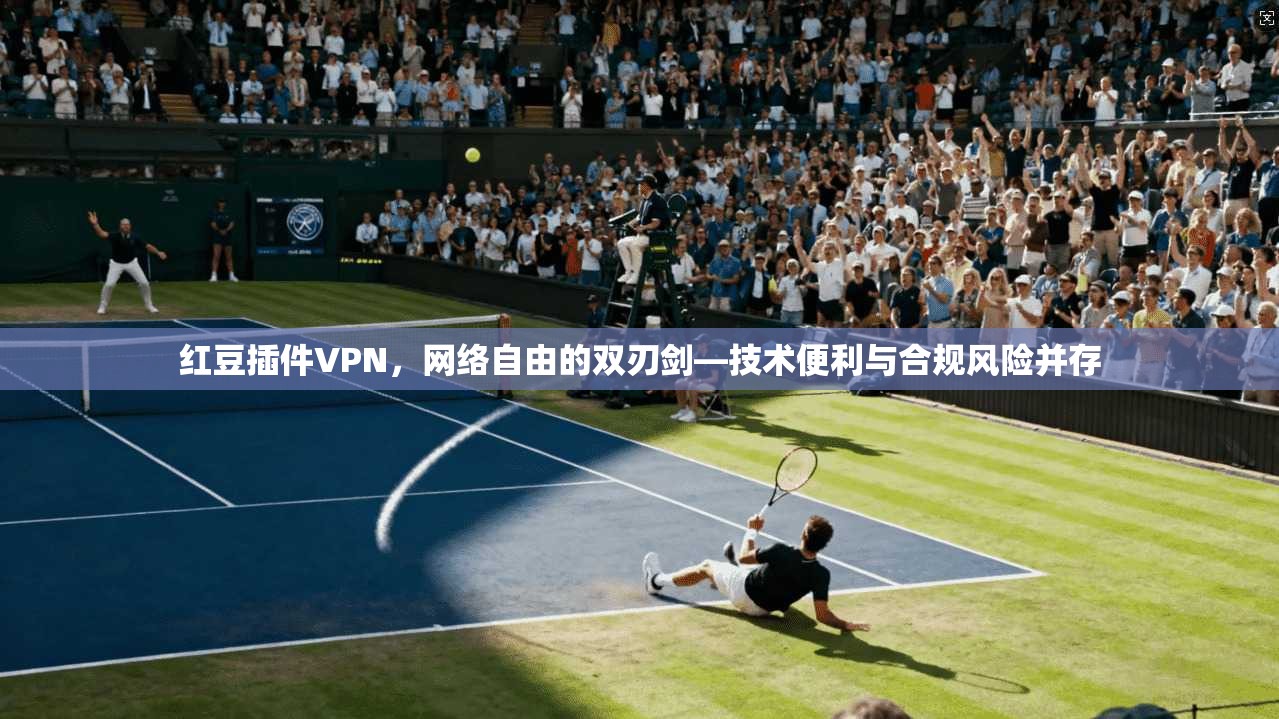 红豆插件VPN，网络自由的双刃剑—技术便利与合规风险并存