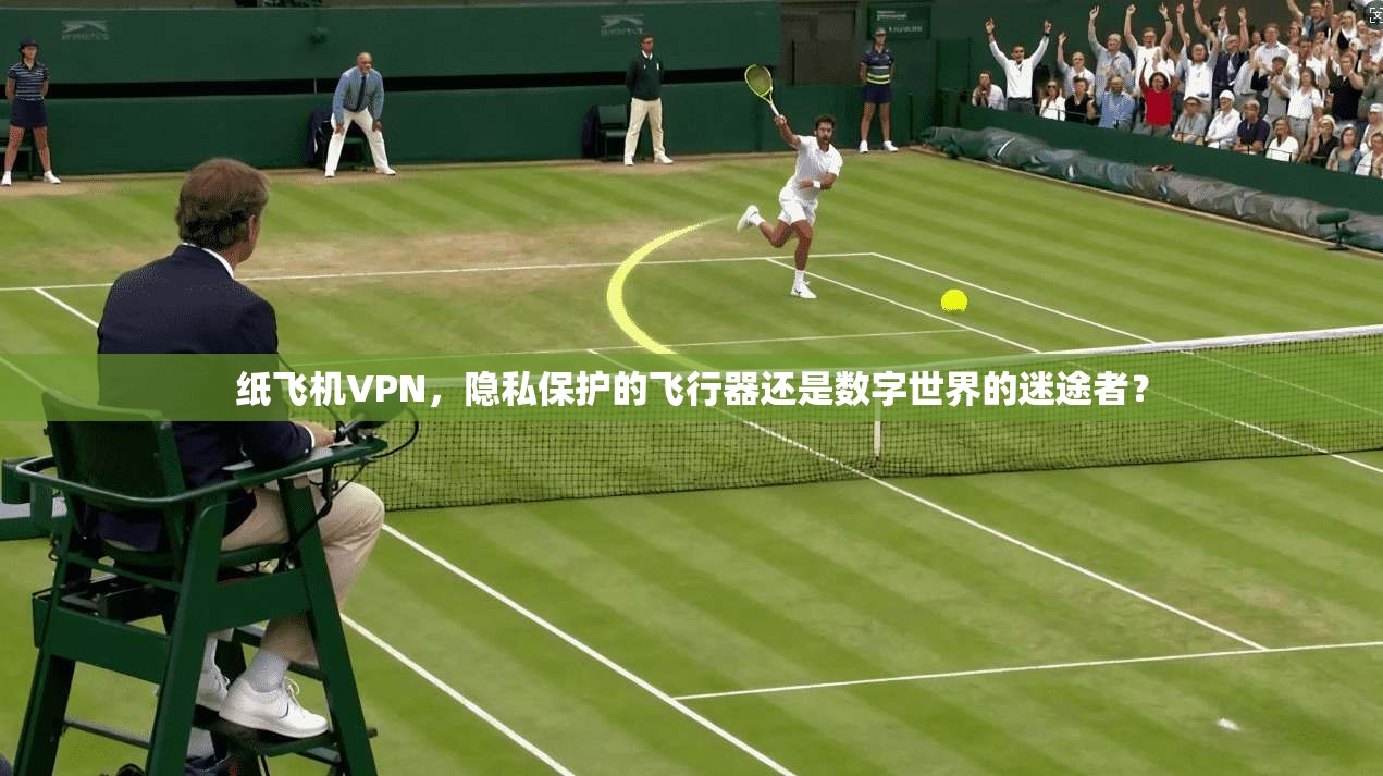纸飞机VPN，隐私保护的飞行器还是数字世界的迷途者？
