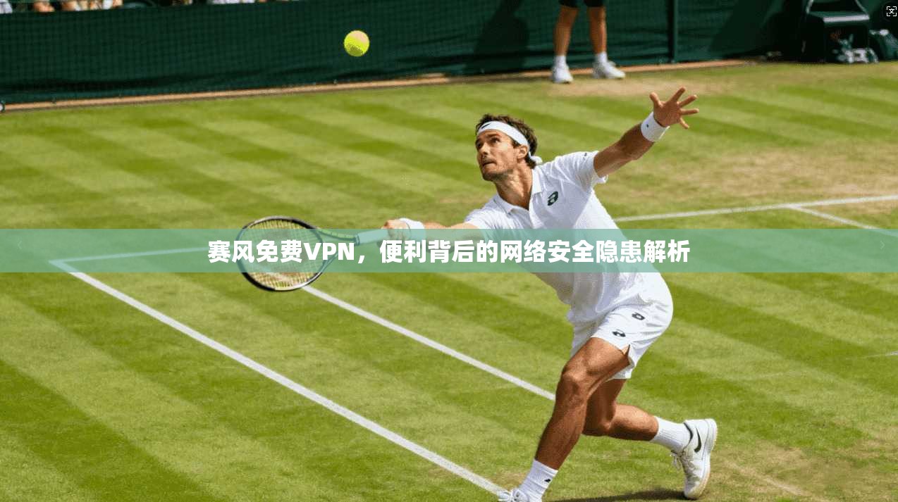 赛风免费VPN，便利背后的网络安全隐患解析