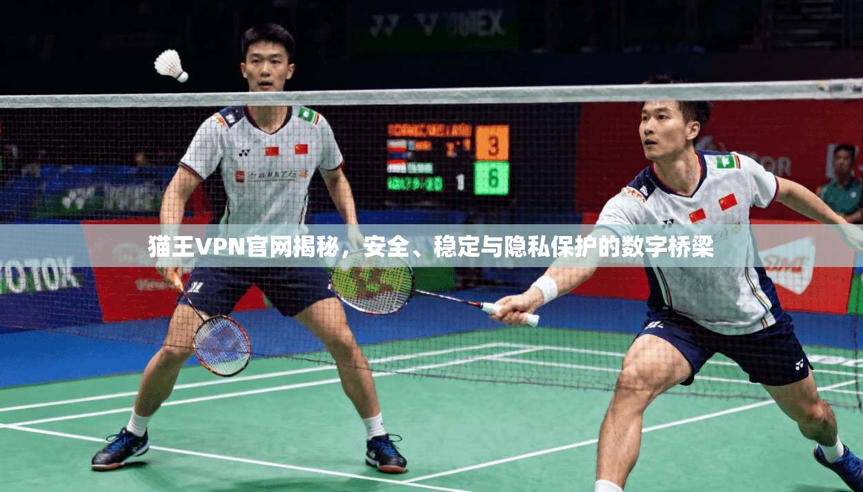 猫王VPN官网揭秘,安全、稳定与隐私保护的数字桥梁