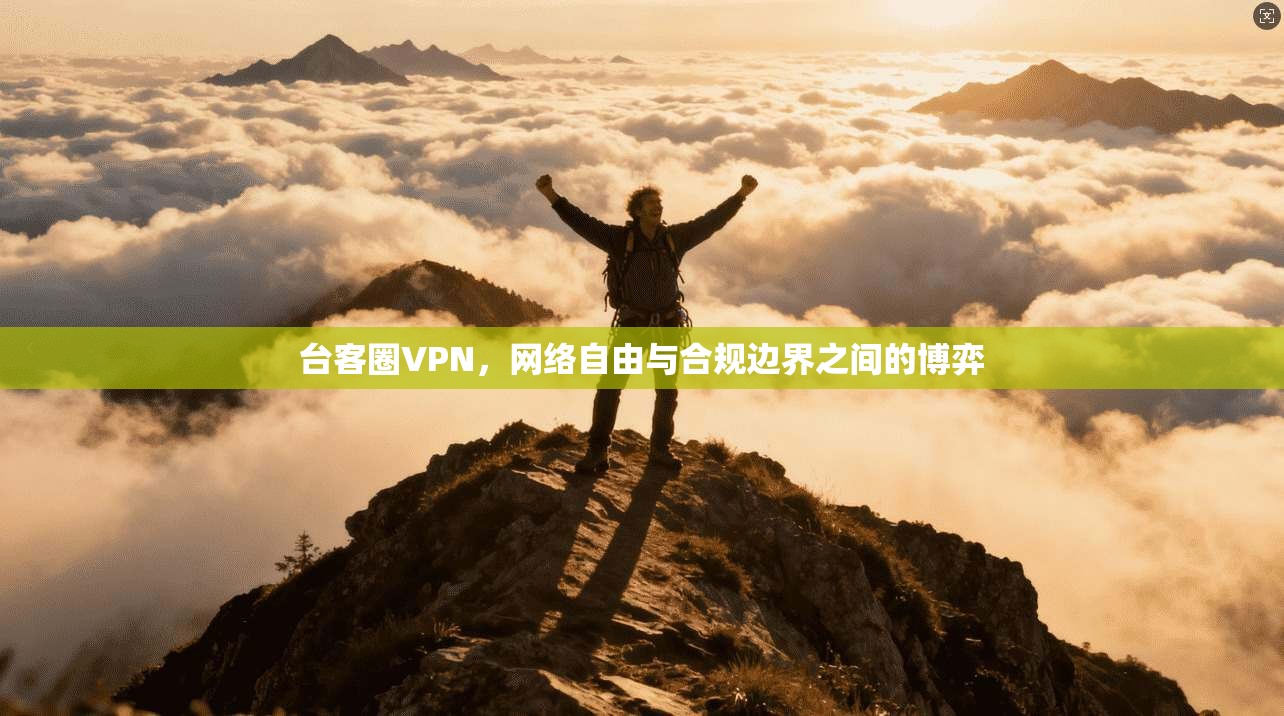 台客圈VPN,网络自由与合规边界之间的博弈
