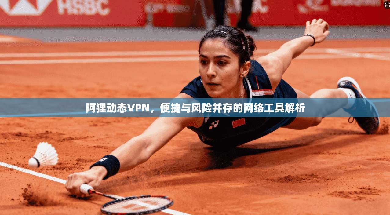 阿狸动态VPN，便捷与风险并存的网络工具解析
