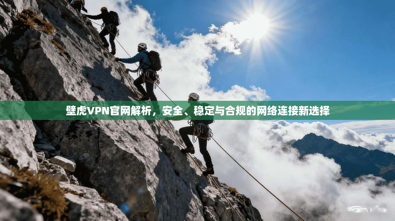 壁虎VPN官网解析,安全、稳定与合规的网络连接新选择