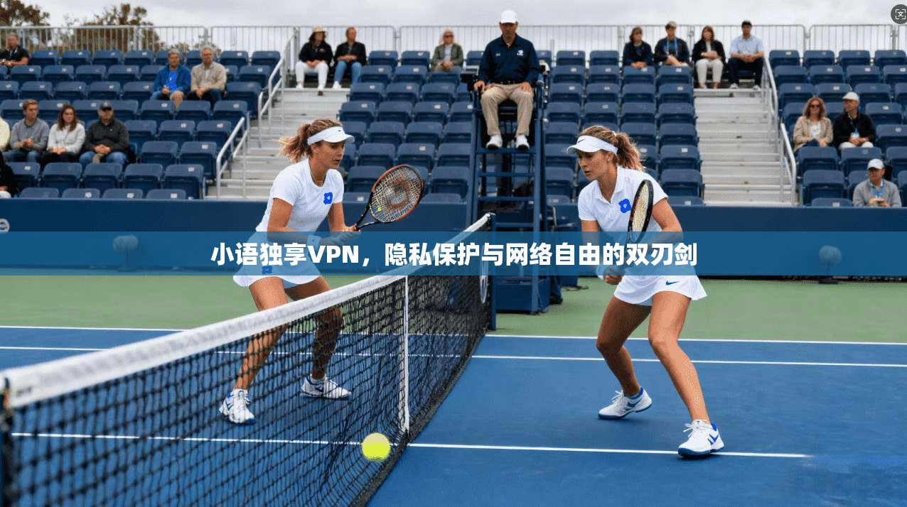 小语独享VPN,隐私保护与网络自由的双刃剑