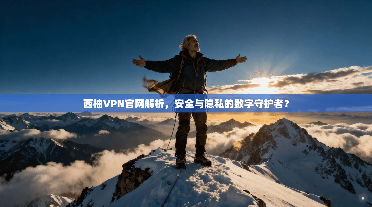 西柚VPN官网解析，安全与隐私的数字守护者？