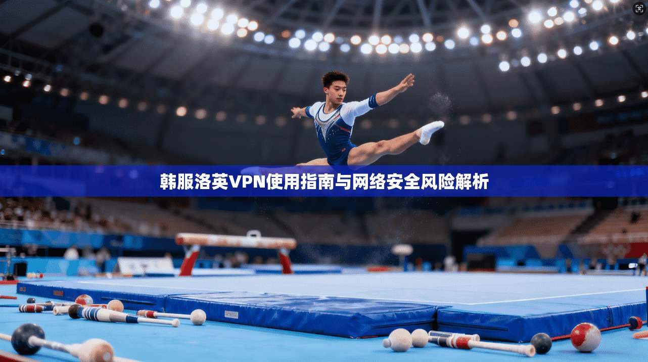 韩服洛英VPN使用指南与网络安全风险解析