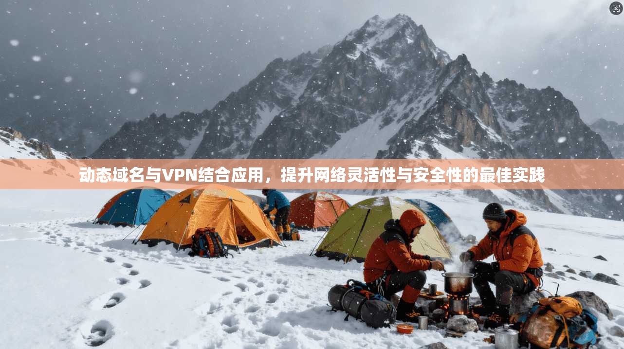 动态域名与VPN结合应用,提升网络灵活性与安全性的最佳实践