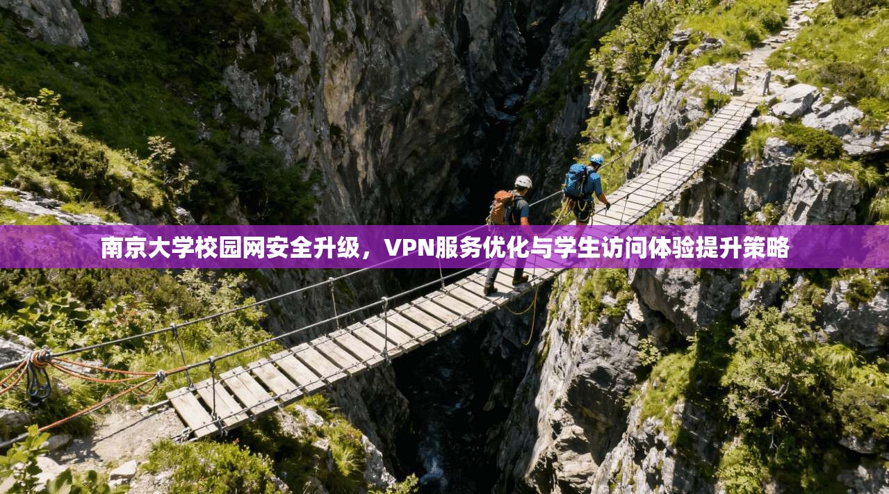 南京大学校园网安全升级，VPN服务优化与学生访问体验提升策略