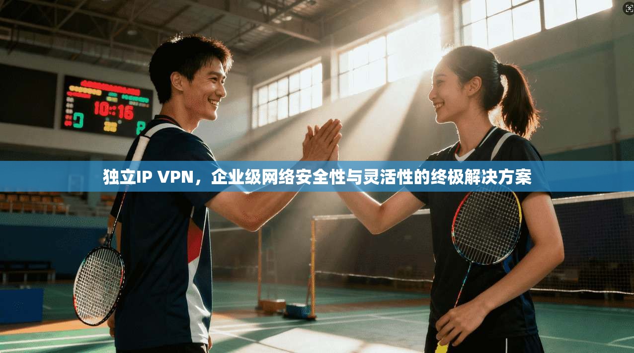 独立IP VPN，企业级网络安全性与灵活性的终极解决方案