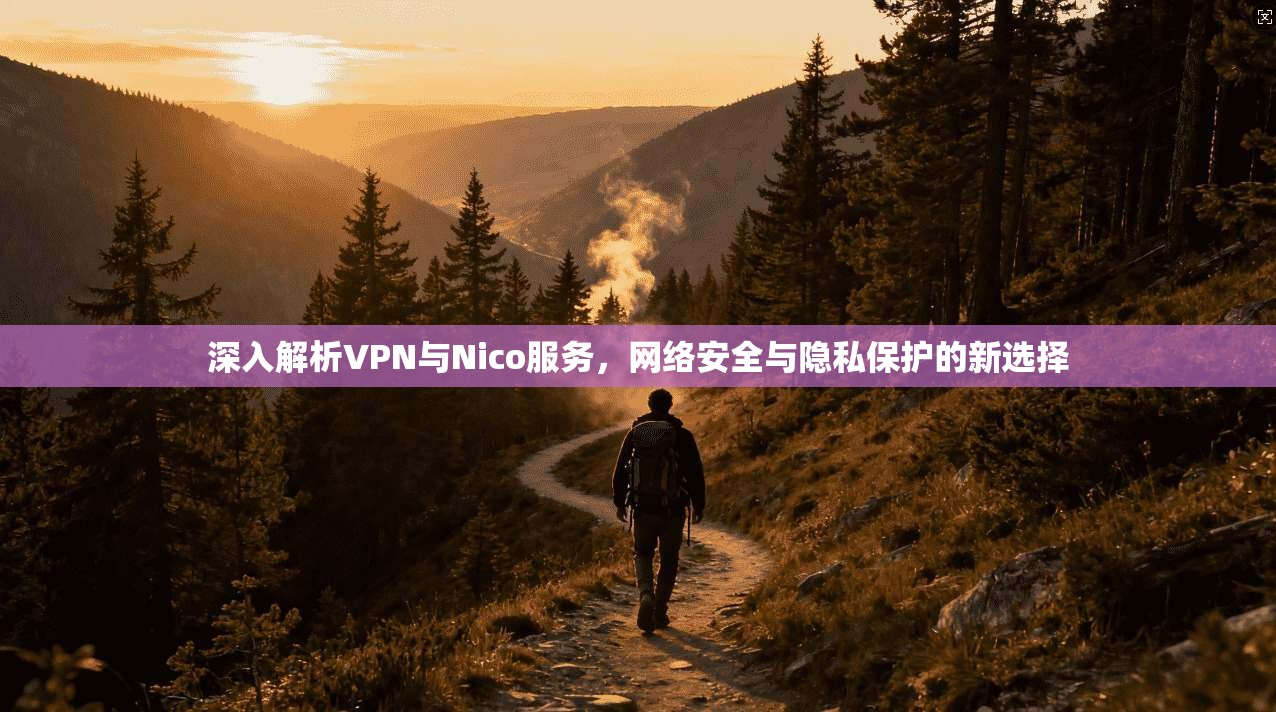 深入解析VPN与Nico服务,网络安全与隐私保护的新选择