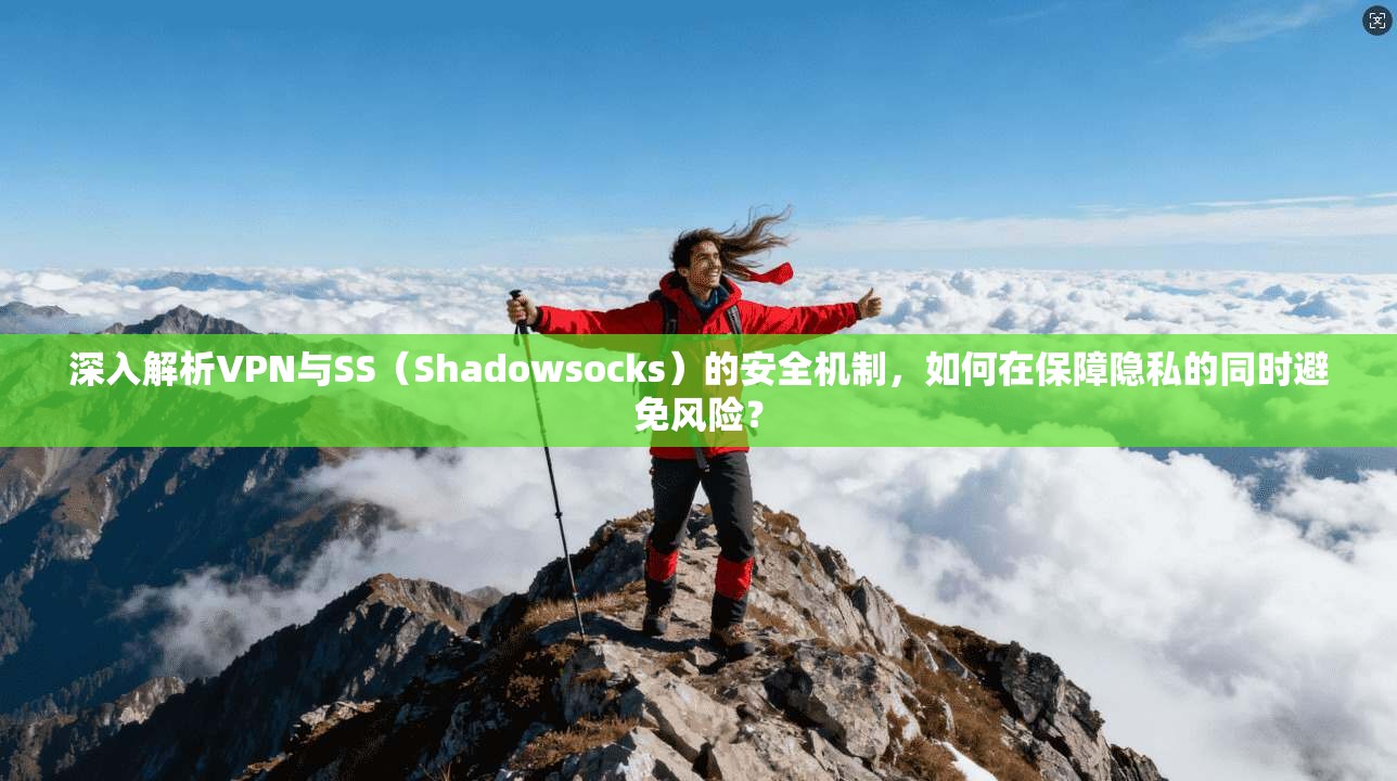 深入解析VPN与SS（Shadowsocks）的安全机制，如何在保障隐私的同时避免风险？