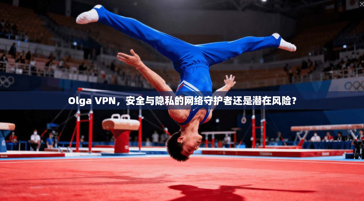 Olga VPN，安全与隐私的网络守护者还是潜在风险？