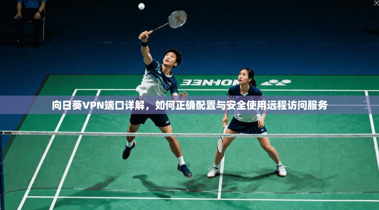 向日葵VPN端口详解，如何正确配置与安全使用远程访问服务