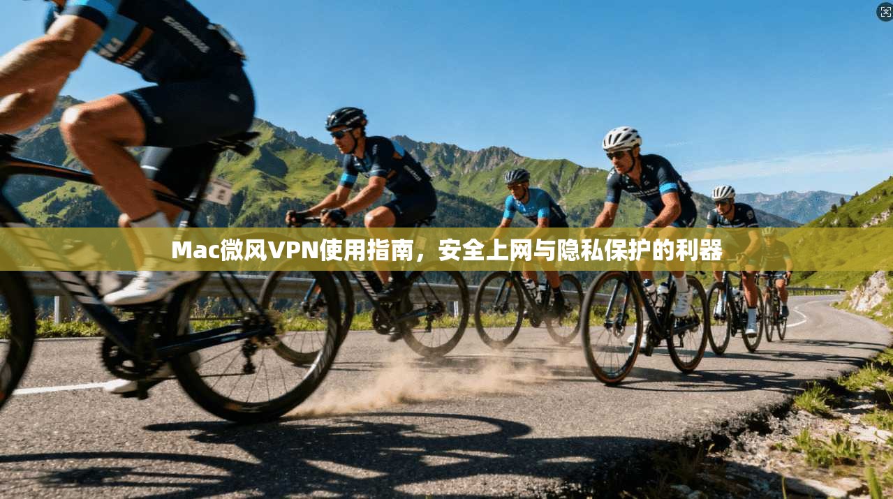 Mac微风VPN使用指南，安全上网与隐私保护的利器
